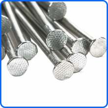 galvanized polished common nail